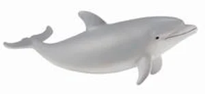 Delfin S Delfin S