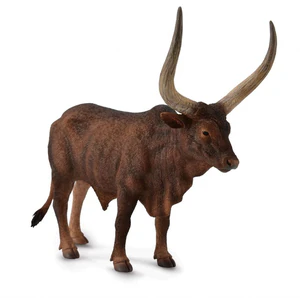 Byk Ankole-Watusi
