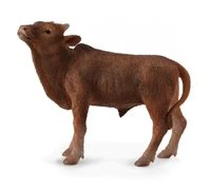 Cielę Ankole-Watusi Cielę Ankole-Watusi