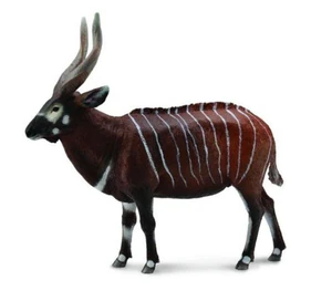 Antylopa Bongo XL Antylopa Bongo XL