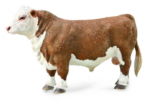 Byk rasy Hereford