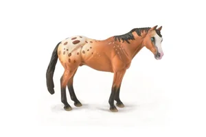 Appaloose Staillion Light Brown