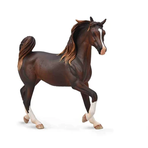 Arabska Klacz Wątrobowa Arabska Klacz Wątrobowa