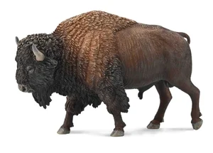 American Bison American Bison