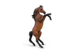 Arabian Stallion - Rearing Bay