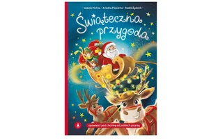 Świąteczna przygoda